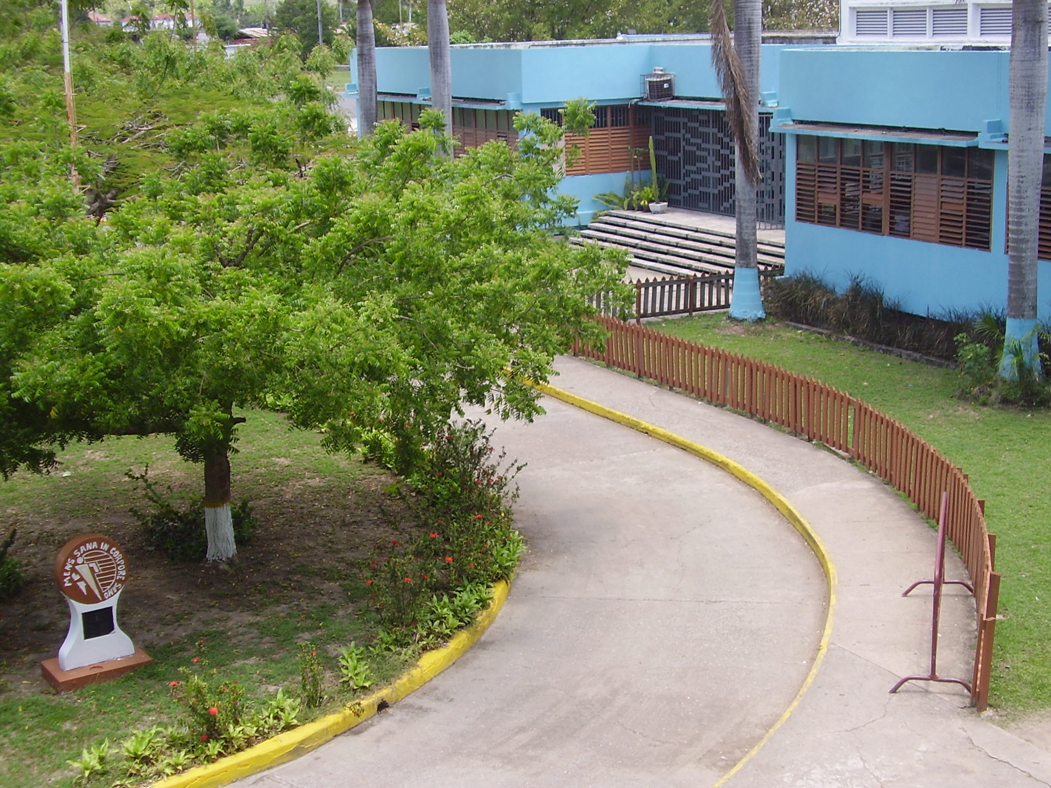 p5310286.jpg